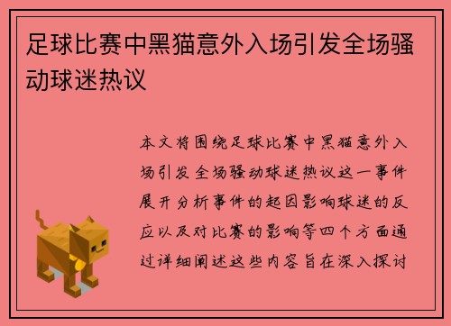 足球比赛中黑猫意外入场引发全场骚动球迷热议